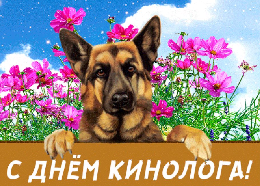 otkrytki-s-dnem-kinologa-14