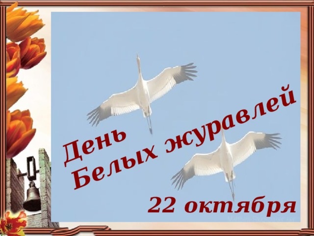 img phpg8HKnW pril 2